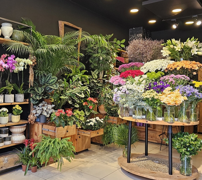 Ilıpınar Çiçekci