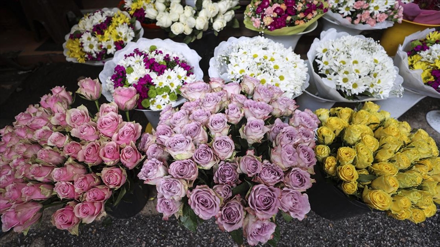 Ilıpınar Çiçekci